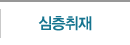 심층분석