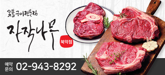 자작나무 배너